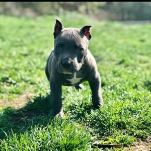 Meet your Posher, Evan